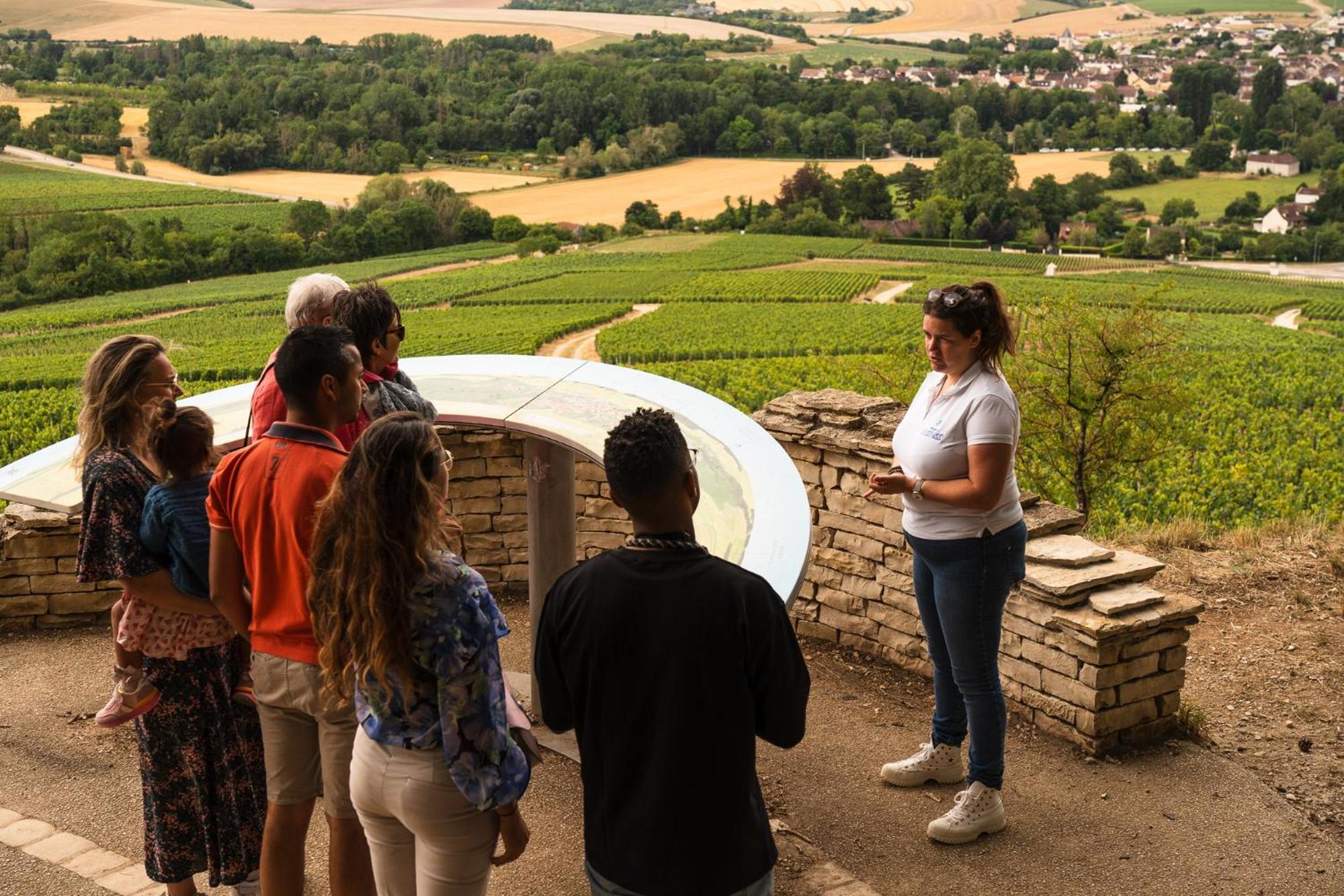 Les Suites Gueguen Chablis Exterior photo